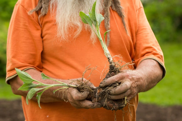 Selbstversorger Garten | © GU/ Ingo Storl