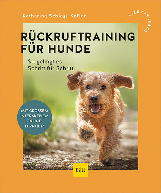 Rückruftraining für Hunde