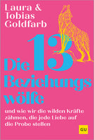 Das Buchcover zum Buch Die 13 Beziehungswölfe Ebook - EPUB (978-3-7589-0211-6)