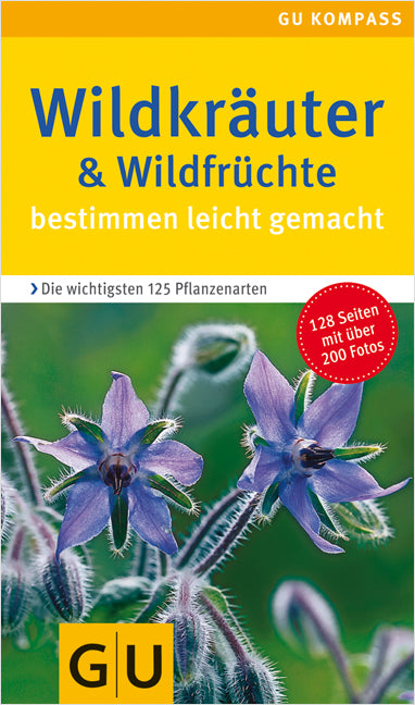 Wildkräuter & Wildfrüchte bestimmen leicht gemacht