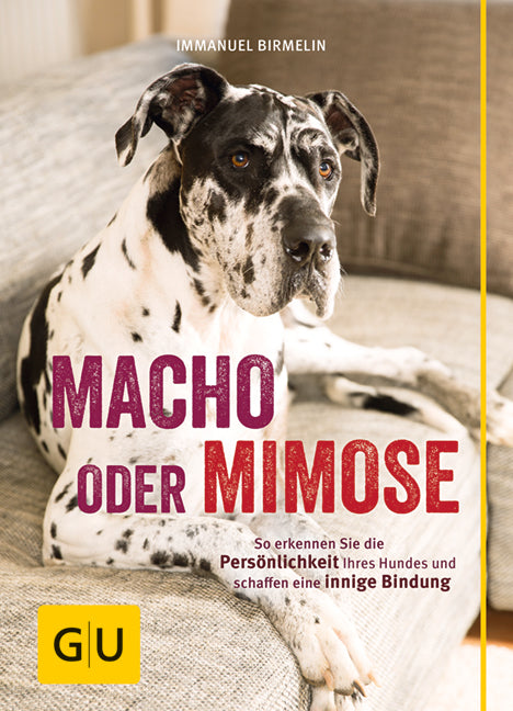 Macho oder Mimose