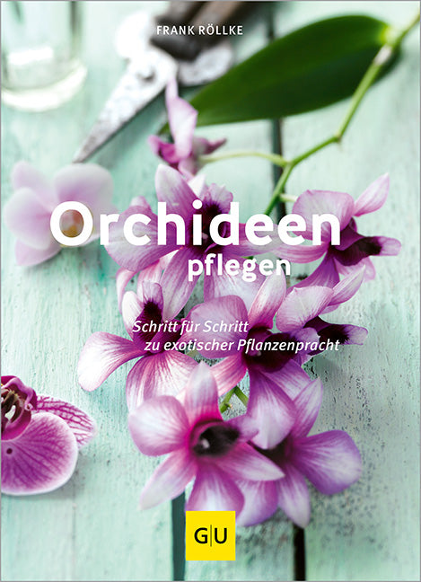 Orchideen pflegen