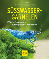 Süßwasser-Garnelen
