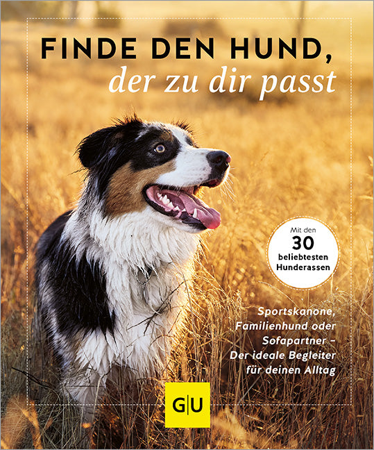 Finde den Hund, der zu dir passt